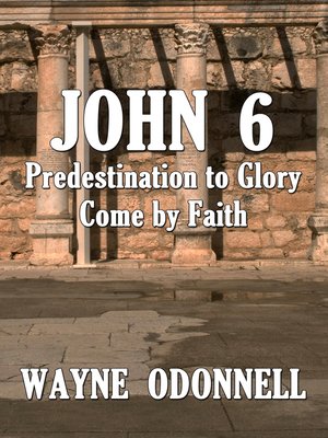 cover image of John 6